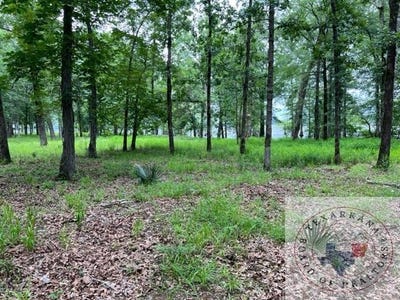 /international/us/000-s-eagle-s-way-south-bradley-ar-110085234891/