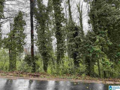 /international/us/213-edgeview-avenue-homewood-al-110084144741/