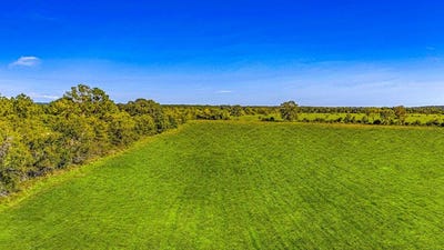 /international/us/l202905-1-fm-350-s-livingston-tx-110107875581/