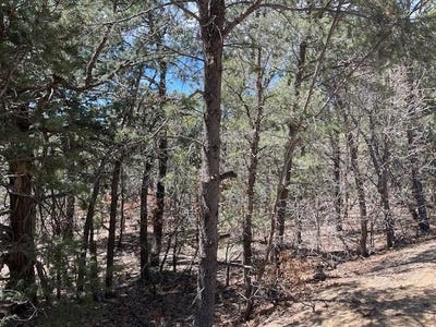 /international/us/46-big-dipper-road-tijeras-nm-110100998134/?lang=zh-tw
