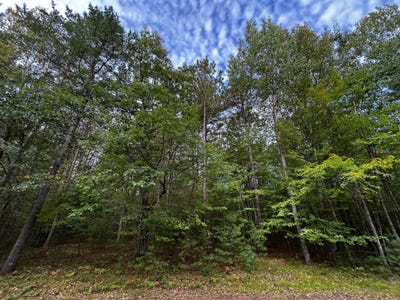 /international/us/peggy-ln-lot-39-minocqua-wi-110119964834/