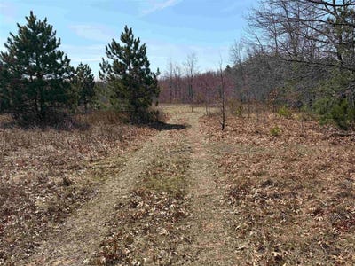 /international/us/40-acres-town-hall-dellona-wi-110107169305/