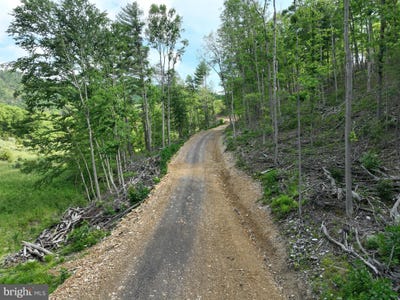 /international/us/686-10-acres-thorn-bottom-rd-wardensville-wv-110093080935/?lang=zh-tw