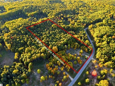/international/us/10825-sw-pine-ridge-drive-lot-13-fife-lake-mi-110120624240/