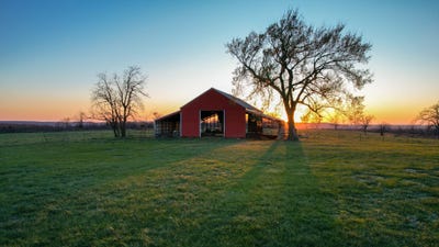 /international/us/14375-tyree-mountain-rd-prairie-grove-ar-110106534617/