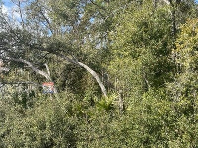 /international/us/malauka-cir-ocklawaha-fl-110107348013/