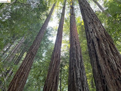/international/us/deer-trail-way-scotts-valley-ca-110108875025/