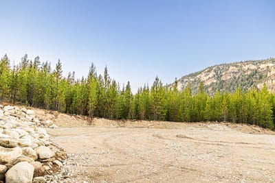 /international/us/harris-road-lot-3-tbd-anaconda-mt-110099988545/