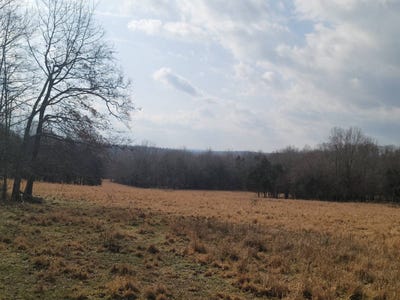 /international/us/000-french-town-road-mammoth-spring-ar-110105886265/