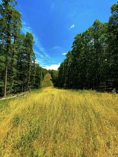/international/us/000-county-road-9-road-kingston-ar-110101218605/