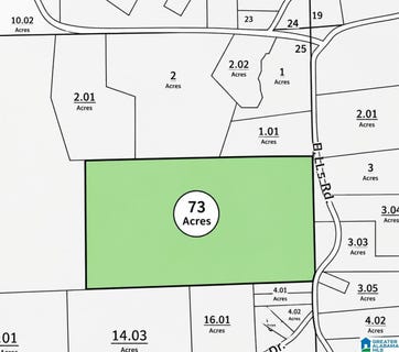 /international/us/hicks-road-lot-0-oneonta-al-110120654075/