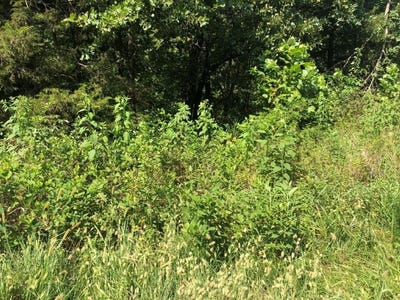 /international/us/lot-19-lockhart-ln-bella-vista-ar-110101545930/?lang=zh-cn