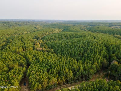 /international/us/538-seiber-ridge-road-hohenwald-tn-110107868670/