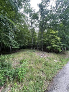 /international/us/lot-6-moore-road-lavalette-wv-110100985403/