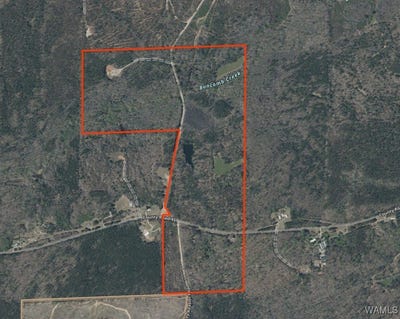 /international/us/2530-county-road-45-reform-al-110105261384/