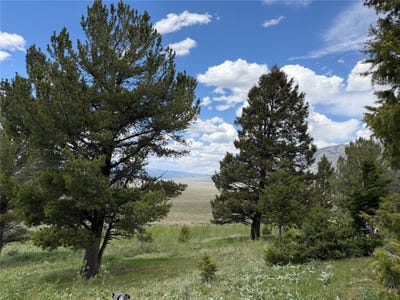 /international/us/continental-divide-road-lot-2-4a-cameron-mt-110108552319/