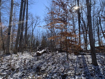 /international/us/73-lookout-drive-somerset-ky-110096983214/