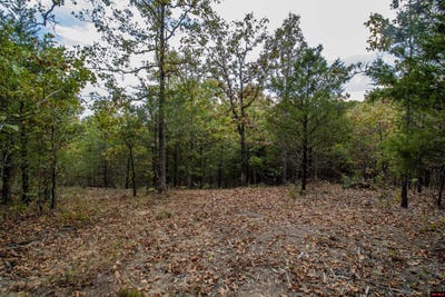 /international/us/cr-1420-lot-43-mountain-home-ar-110120057592/