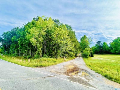 /international/us/shady-lane-lot-0-cleveland-al-110107884190/
