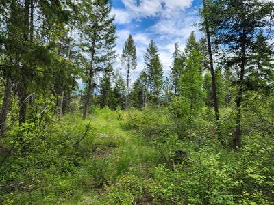 /international/us/318-rockabye-ln-curlew-wa-110106251632/