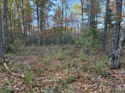 /international/us/whittier-road-lot-16-2-farmington-me-110120151002/
