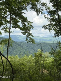 /international/us/00-heavens-view-118-acres-lane-gate-city-va-110099980206/