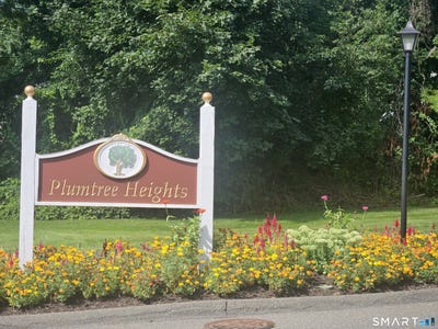 /international/us/54-deer-run-bethel-ct-110108813670/