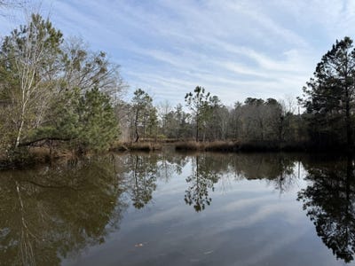 /international/us/5191-savannah-highway-north-sc-110105854300/