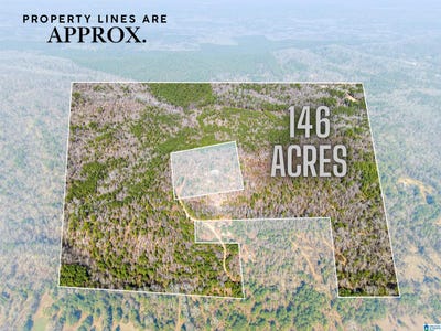 /international/us/flying-l-ranch-road-lot-1-talladega-al-110108574735/