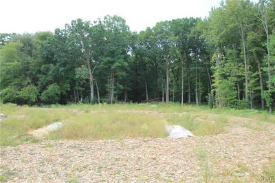 /international/us/4119-butternut-drive-lehigh-twp-pa-110098319968/