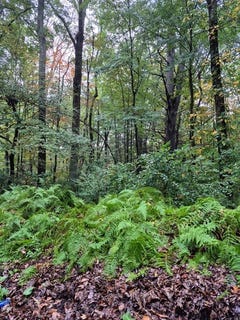 /international/us/blackmer-rd-southbridge-ma-110102592646/