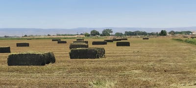 /international/us/18889-homestead-road-delta-co-110100449772/