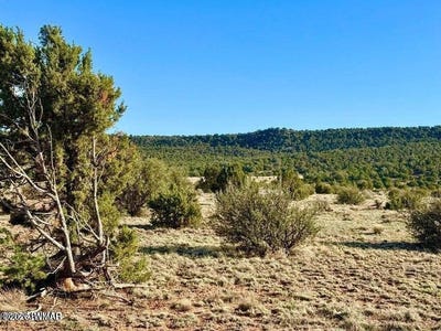 /international/us/85-co-road-8500-40-acres-concho-az-110120411755/