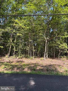 /international/us/lot-1-detour-rd-great-cacapon-wv-110100414313/?lang=zh-tw