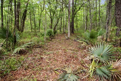 /international/us/4848-woodville-road-awendaw-sc-110101190243/?lang=zh-tw