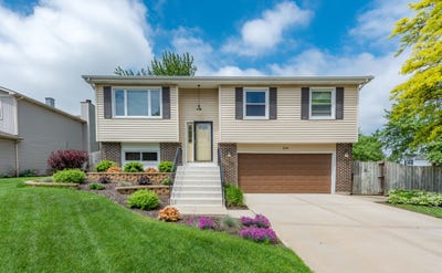/international/us/238-s-park-place-drive-bartlett-il-110109230034/