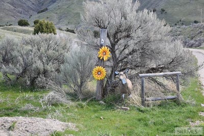 /international/us/tbd-w-katsilometes-road-pocatello-id-110100050386/