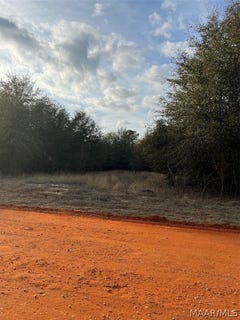 /international/us/deer-loop-lot-23-camden-al-110081757178/