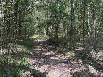 /international/us/bell-foley-road-poughkeepsie-ar-110108344478/