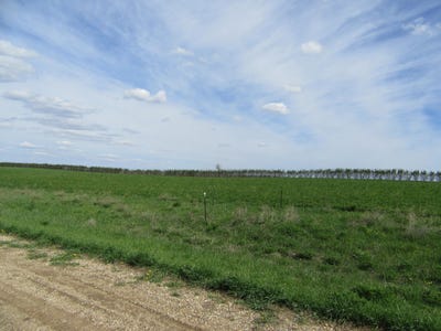 /international/us/3-royal-oaks-road-garvin-mn-110089997840/