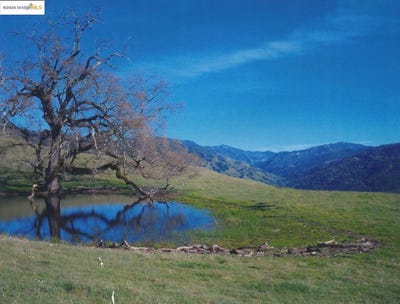 /international/us/39305-pine-mountain-rd-cloverdale-ca-110098844198/