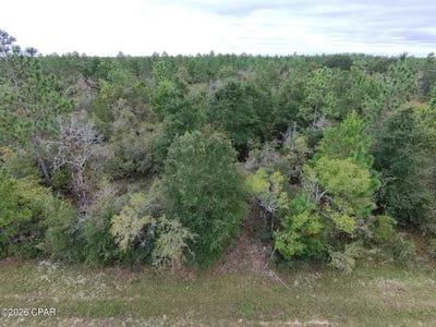 /international/us/maywood-street-lot-5-chipley-fl-110110362454/