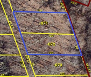 /international/us/oak-vacant-lots-pinckney-mi-110100253532/?lang=zh-tw