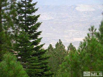 /international/us/kings-canyon-road-carson-city-nv-110120067454/