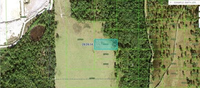 /international/us/n-a-polk-city-fl-110094195699/?lang=en
