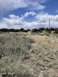 /international/us/27-short-lane-concho-az-110081493996/