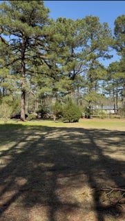 /international/us/3303-american-avenue-turbeville-sc-110106734420/