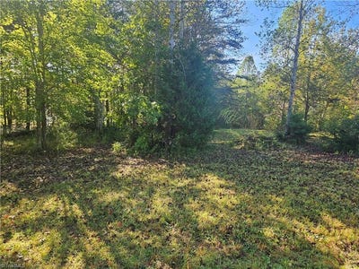 /international/us/dodgetown-road-walnut-cove-nc-110102718706/