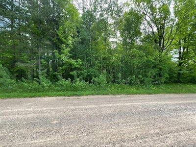 /international/us/25945-pine-view-beach-trail-brook-park-mn-110108572675/