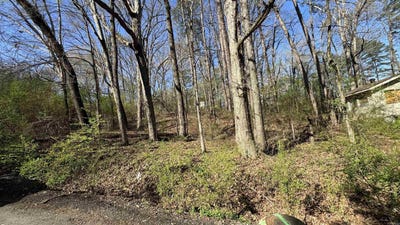 /international/us/cobb-st-lot-3-and-4-little-rock-ar-110106369620/